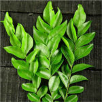 Fresh curry leaves