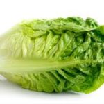 Gem lettuce