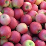 Pink lady apple per kg