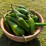 Green chillies per kg